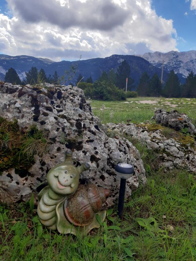 Green Cottage Blidinje Εξωτερικό φωτογραφία