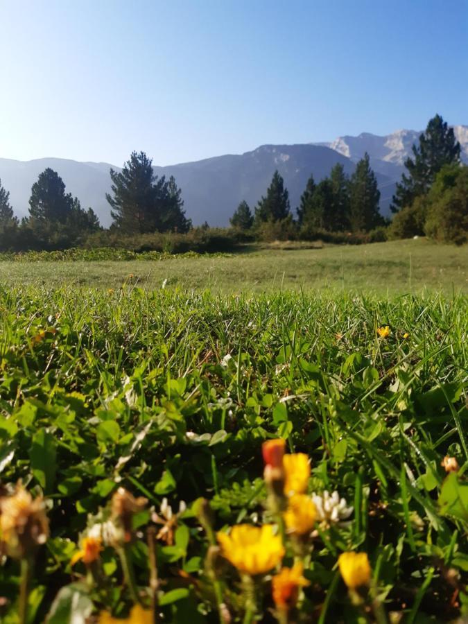 Green Cottage Blidinje Εξωτερικό φωτογραφία