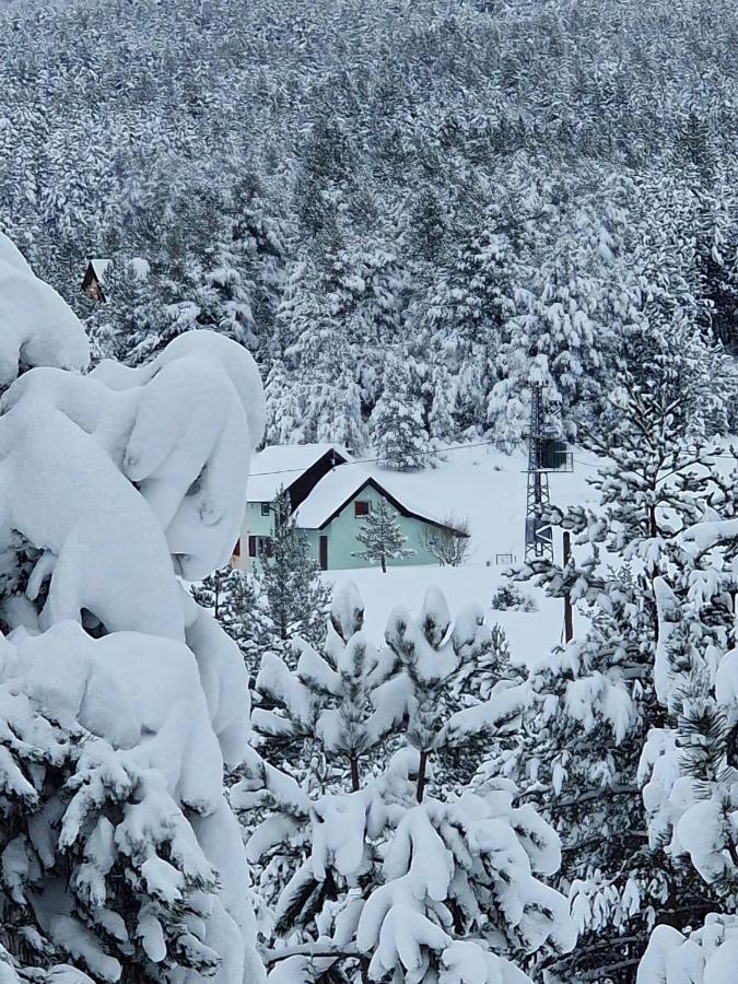 Green Cottage Blidinje Εξωτερικό φωτογραφία