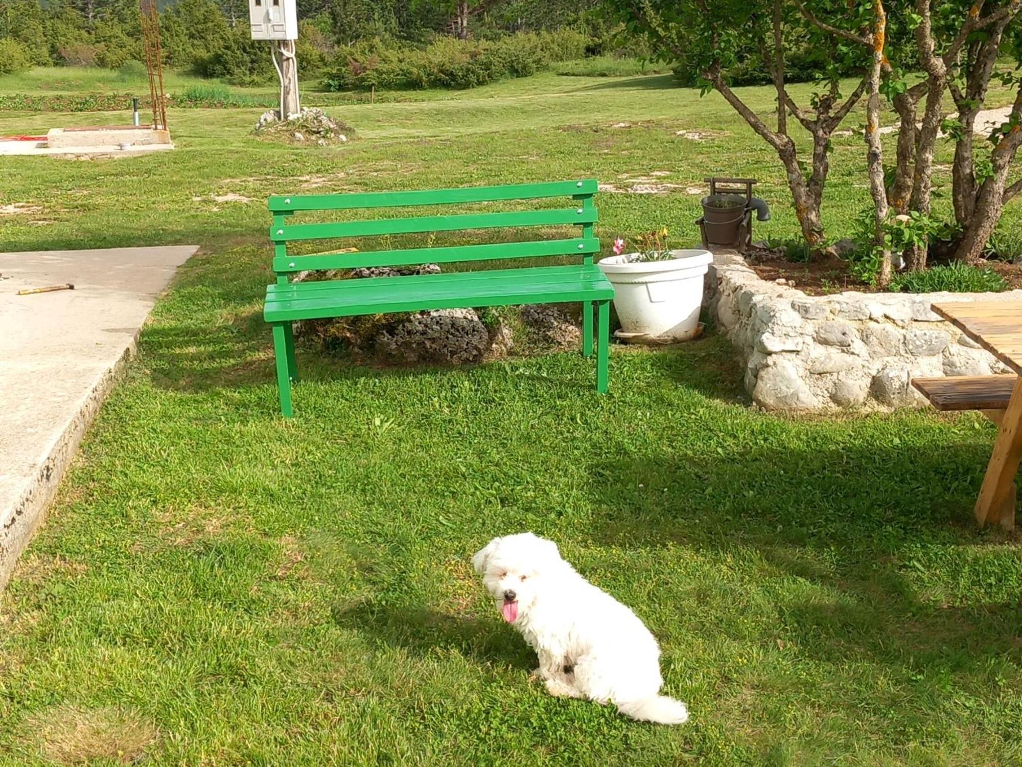 Green Cottage Blidinje Εξωτερικό φωτογραφία